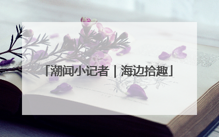 潮闻小记者｜海边拾趣